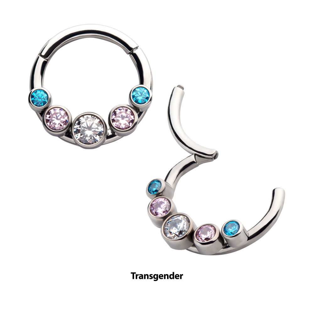 Titanium with Transgender Bezel Set CZ 5-Cluster Front Facing Hinged Segment Clicker