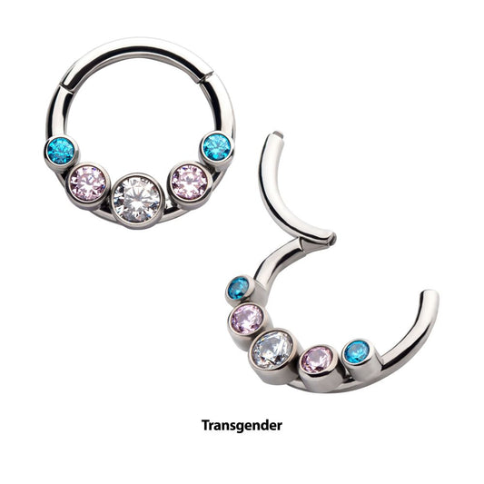 Titanium with Transgender Bezel Set CZ 5-Cluster Front Facing Hinged Segment Clicker