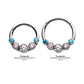 Titanium with Transgender Bezel Set CZ 5-Cluster Front Facing Hinged Segment Clicker