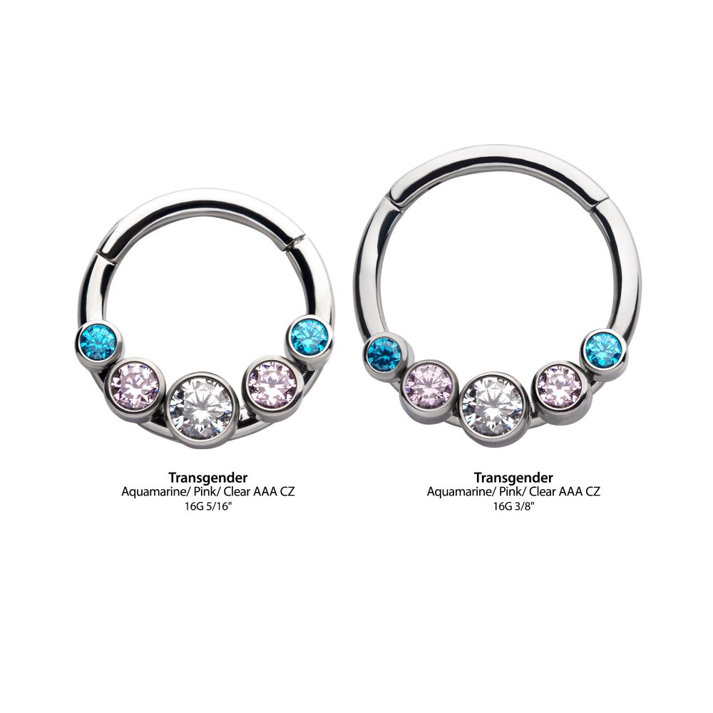 Titanium with Transgender Bezel Set CZ 5-Cluster Front Facing Hinged Segment Clicker