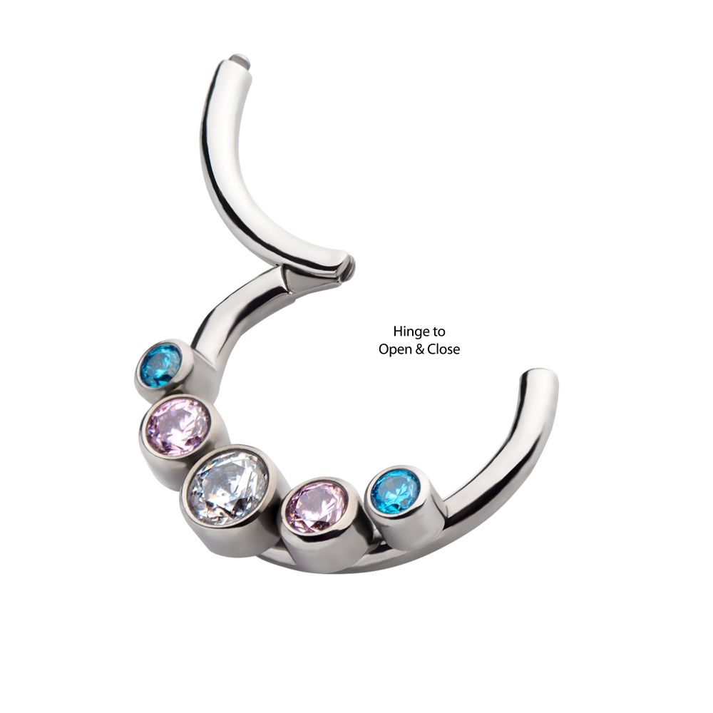 Titanium with Transgender Bezel Set CZ 5-Cluster Front Facing Hinged Segment Clicker