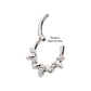 Titanium Clustered Hammered & Shiny  3-Petal Flower Front Facing Hinged Segment Clicker