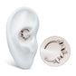 Titanium Clustered Hammered & Shiny  3-Petal Flower Front Facing Hinged Segment Clicker