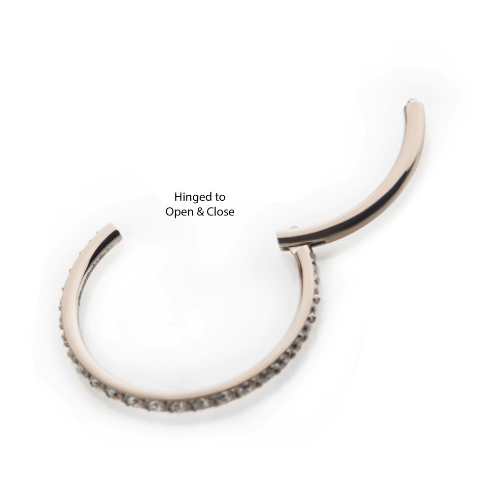 Titanium with 1mm CNC Set Clear CZ Eternity Gem Side Facing Hinged Segment Clicker