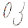 1mm CNC Set Rainbow Eternity CZ Titanium Side Facing Hinged Segment Clicker