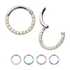 Titanium Front Facing Hinged Segment Clicker with CNC Set 1mm Ombre Fade Gem