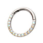 Titanium Front Facing Hinged Segment Clicker with CNC Set 1mm Ombre Fade Gem