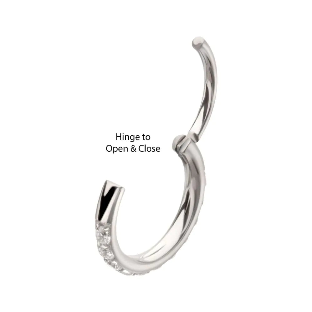 Titanium CNC Set Full Clear CZ Eternity Gem with Thicker Outer Hoop Side Facing Hinged Segment Clicker