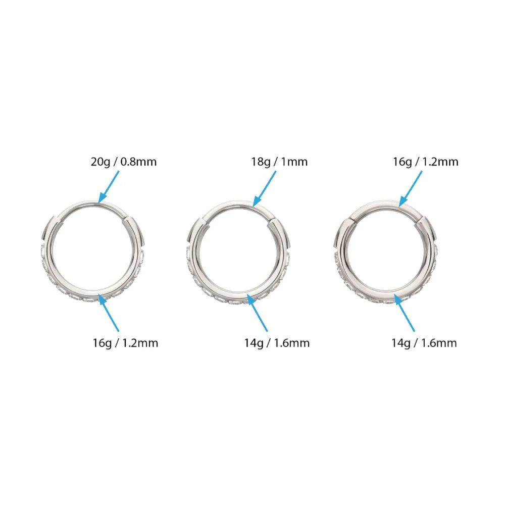 Titanium CNC Set Full Clear CZ Eternity Gem with Thicker Outer Hoop Side Facing Hinged Segment Clicker