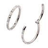 Titanium with Alternating CZ & Pyramid Stud Side Facing Hinged Segment Clicker