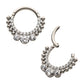 Titanium 10-Beaded Bezel Set Gem Front Facing Hinged Segment Clicker