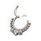 Titanium 10-Beaded Bezel Set Gem Front Facing Hinged Segment Clicker