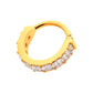 24Kt Gold PVD Titanium with Channel Set Square Princess Gem Side Facing Hinged Segment Clicker
