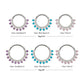 Titanium Double Row CZ Multi-Gem with Clear CNC Set Inner Gem Front Facing Hinged Segment Clicker