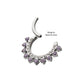 Titanium Double Row CZ Multi-Gem with Clear CNC Set Inner Gem Front Facing Hinged Segment Clicker