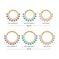 24Kt Gold PVD Titanium Double Row CZ Multi-Gem with Clear CNC Set Inner Gem Front Facing Hinged Segment Clicker