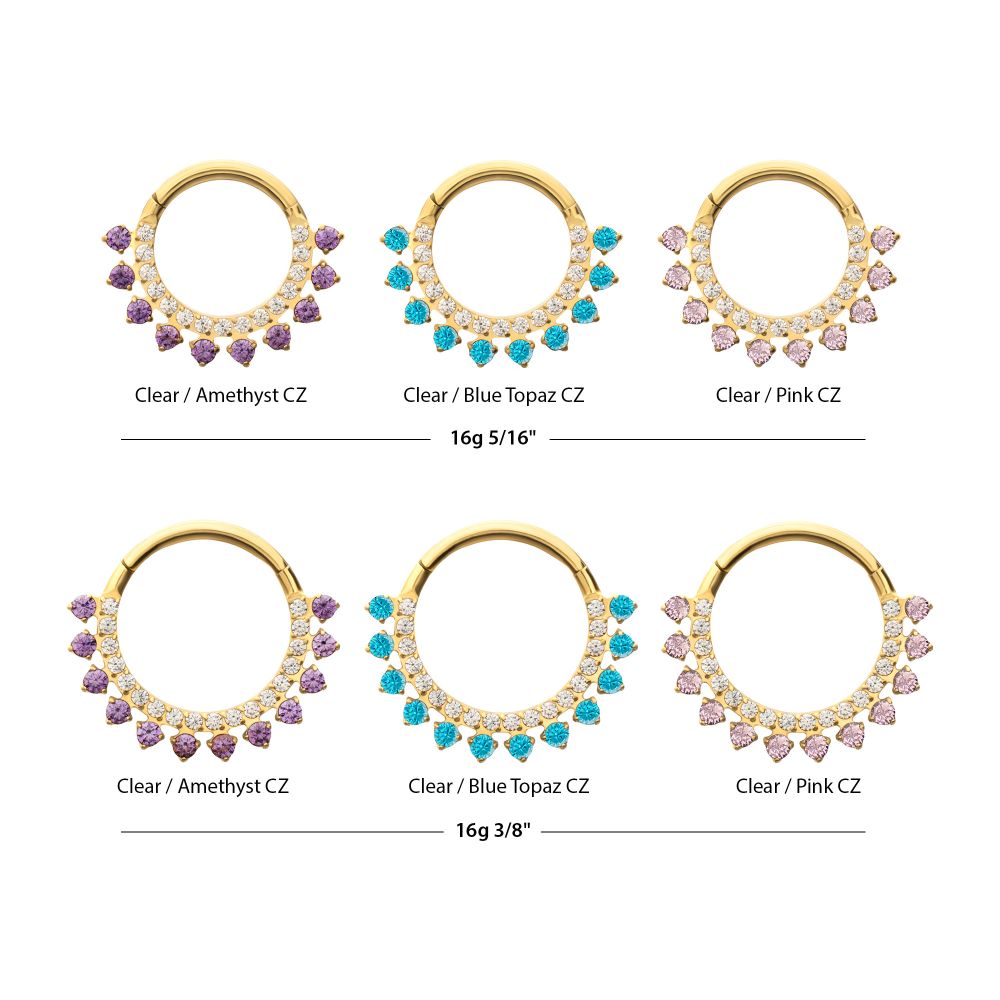 24Kt Gold PVD Titanium Double Row CZ Multi-Gem with Clear CNC Set Inner Gem Front Facing Hinged Segment Clicker