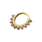 24Kt Gold PVD Titanium Double Row CZ Multi-Gem with Clear CNC Set Inner Gem Front Facing Hinged Segment Clicker