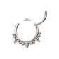 Titanium Beads & Spikes Front Facing Hinged Segment Clicker