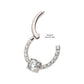 Titanium with 1mm CNC Set Full Clear CZ & Big Round CZ Front Facing Hinged Segment Clicker