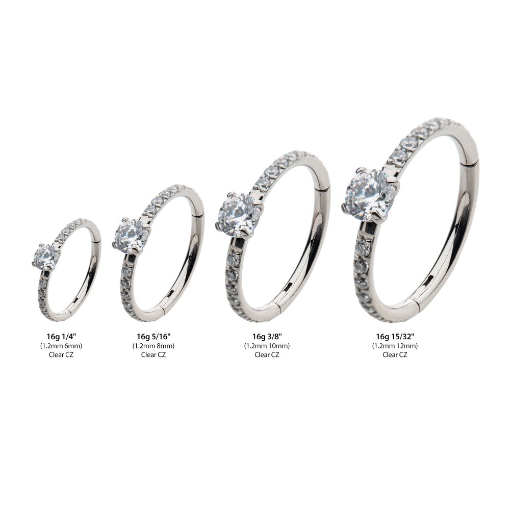Titanium with Centerpiece Prong Set Round Clear CZ Eternity Side Facing Hinged Segment Clicker
