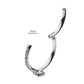 Titanium with Centerpiece Prong Set Round Clear CZ Eternity Side Facing Hinged Segment Clicker