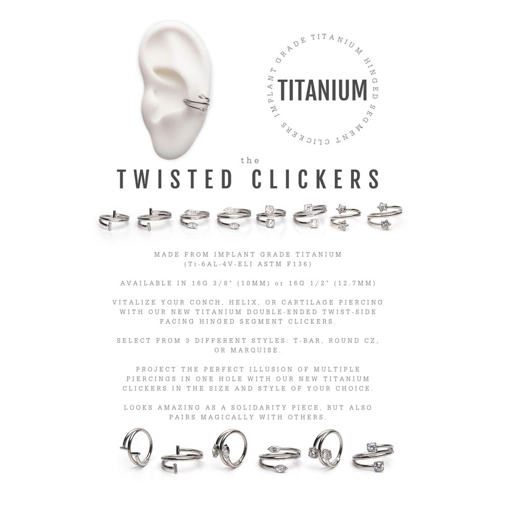 Titanium Double Ended Twist Side Facing Hinged Segment Clicker with Round CZ