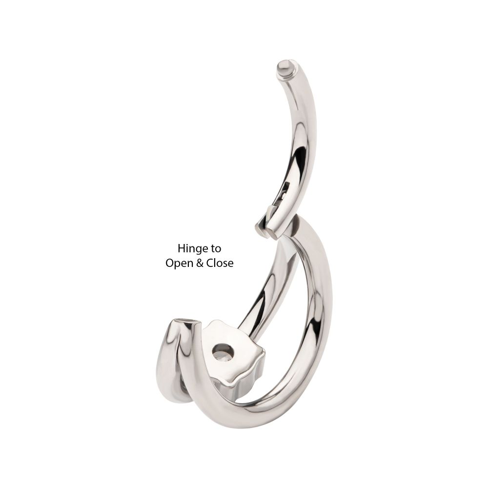 Titanium with Prong Set Clear CZ Double Hoop Side Facing Hinged Segment Clicker