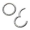 Titanium Bezeled 12 Swarovski Crystal Set On Hinged Segment Clicker