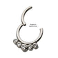 Titanium with 5 Cluster Petite Bezel Set Swarovski Crystal/Opal Front Facing Hinged Segment Clicker