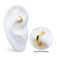 16g 24Kt Gold PVD Titanium Oval Shape Hinged Segment Clicker (for Rook Piercing)