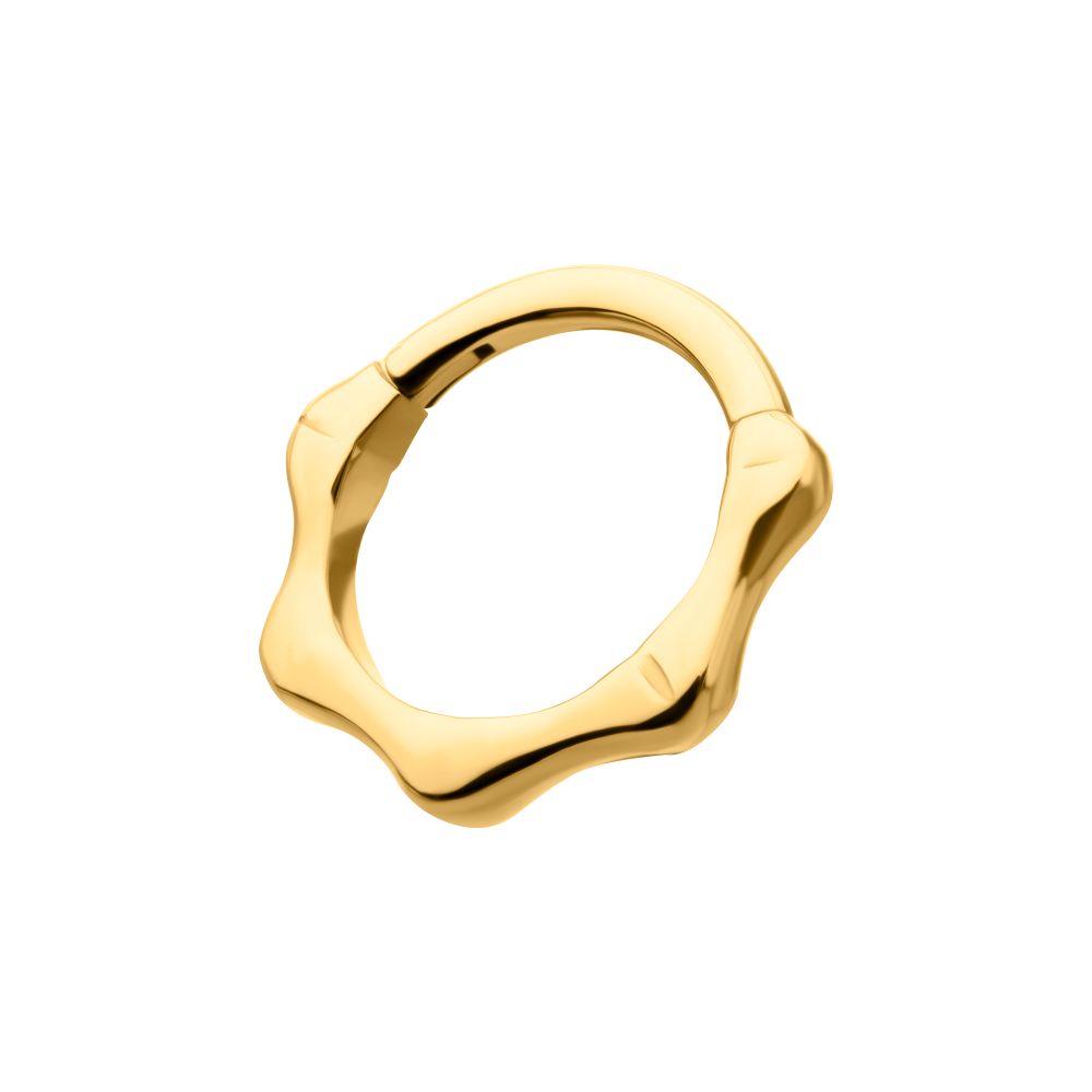 24KT Gold PVD Titanium Bone-Shaped Front Facing Hinged Segment Clicker