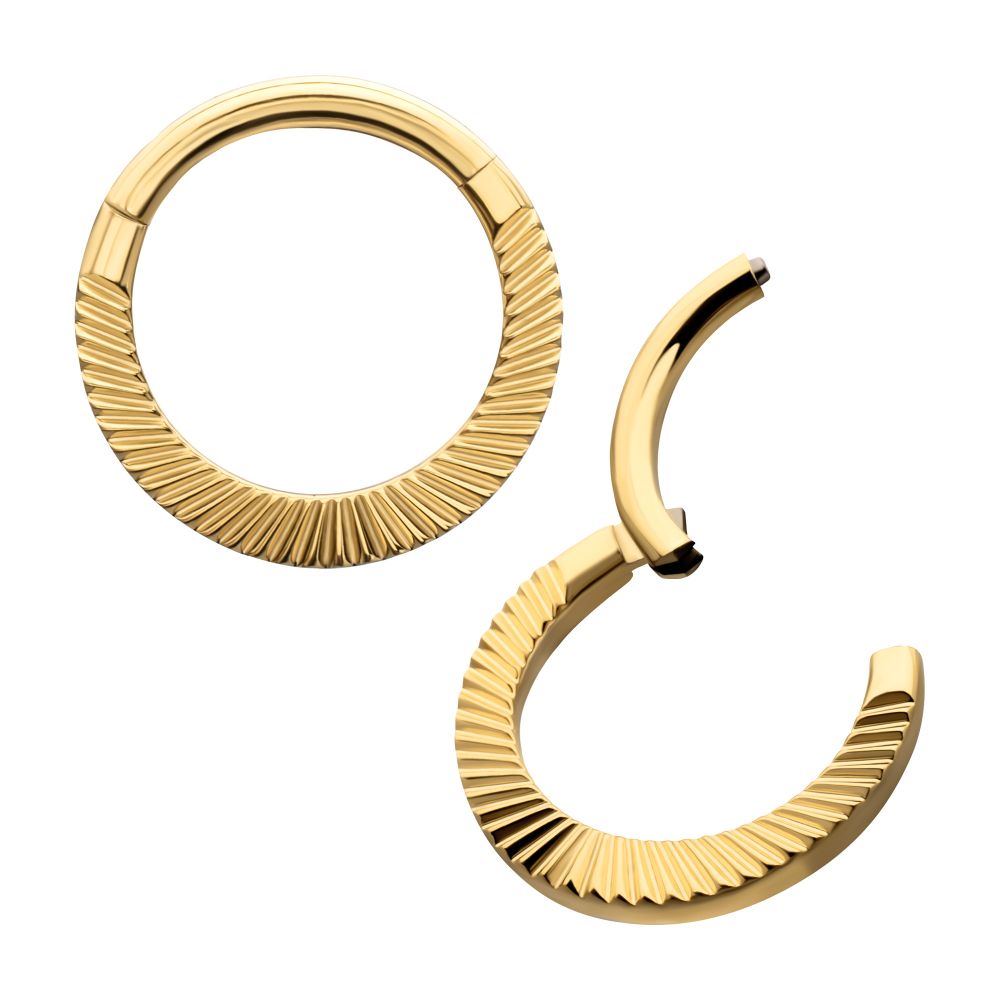 24Kt Gold PVD Titanium Radiant Round Hoop Front Facing Hinged Segment Clicker