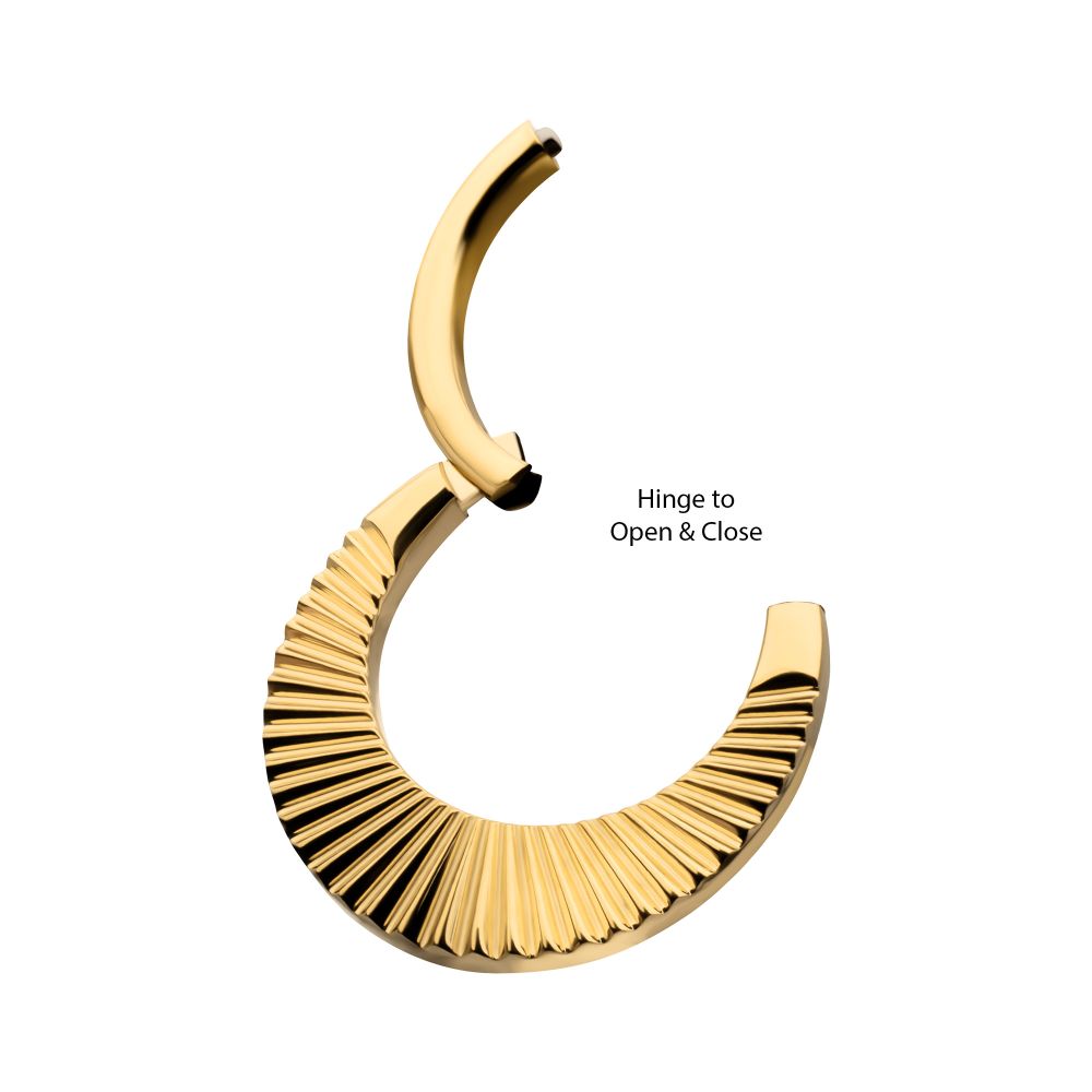 24Kt Gold PVD Titanium Radiant Wide Hoop Front Facing Hinged Segment Clicker