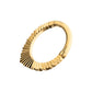 24Kt Gold PVD Titanium Radiant Pointed Hoop Front Facing Hinged Segment Clicker