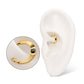 24Kt Gold PVD Titanium Radiant Hoop with Black Prong Set Gem Front Facing Hinged Segment Clicker