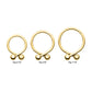 24Kt Gold PVD Titanium Twister Ball Hinged Segment Hoop Clicker