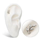 Titanium Internally Threaded Prong Set Marquise CZ Leaf Top