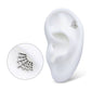 Titanium Internally Threaded Fan Shape Spiderweb Top
