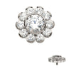 Titanium Internally Threaded Flower Top with 11 Clear CZ