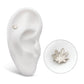 Titanium Internally Threaded Pot Leaf Top
