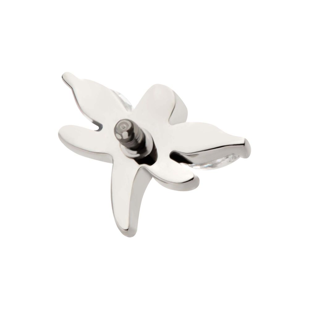 Titanium Internally Threaded Prong Set Marquise CZ Dragonfly Top