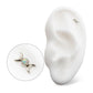 Titanium Threadless Bezel Set Round Opal Triple Moon Phase Top