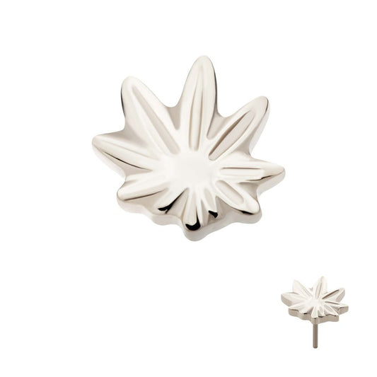 Titanium Threadless Pot Leaf Top
