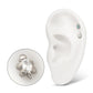 Titanium Threadless Low Profile 3D Sea Turtle Top with Prong Set Oval Gem