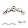 Titanium Threadless Bezel Set CZ/Opal Hammered Cluster Top