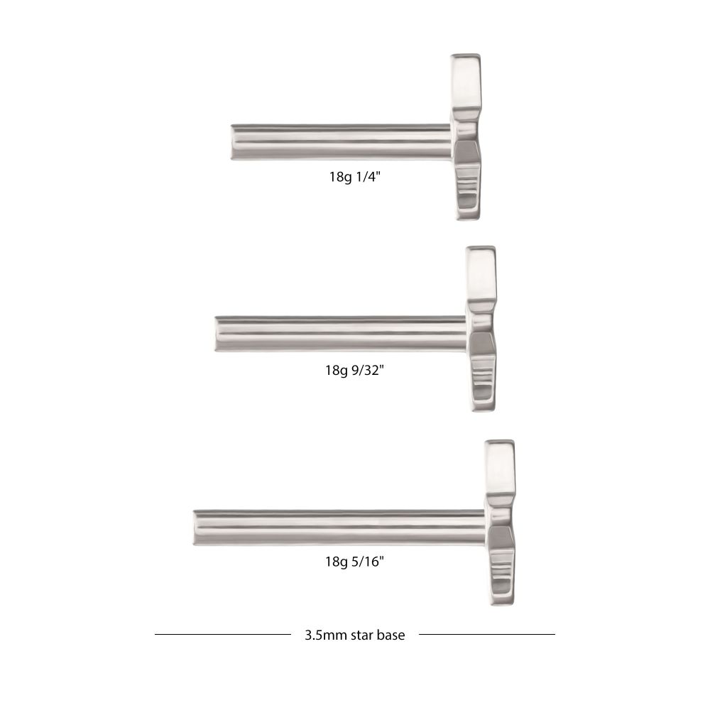 Titanium Threadless Star Back Duality Labret (Base Only)