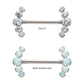 Titanium Semi-Bezel Set Round Gem/Opal 
5-Cluster End Nipple Barbell 
(One Side Fixed, One Side Threadless ) | Sold by piece