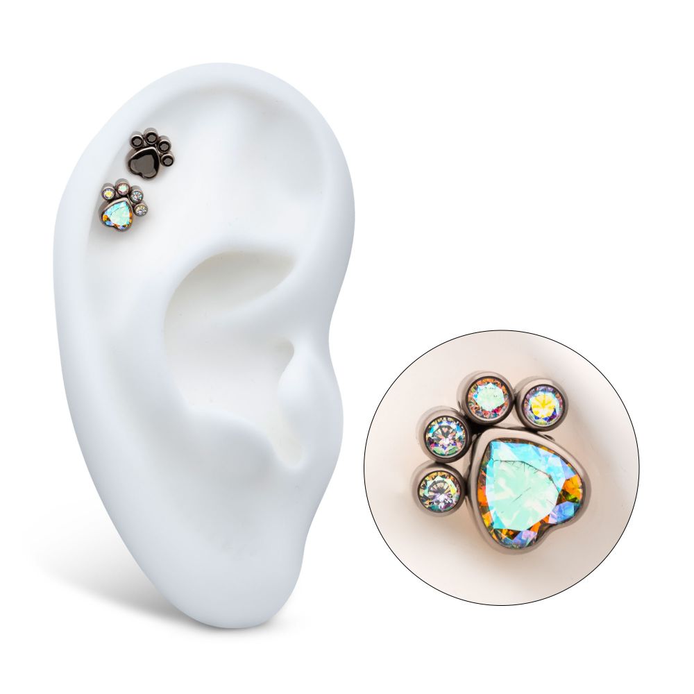 Titanium Threadless Bezel Heart & Round CZ Paw Top
