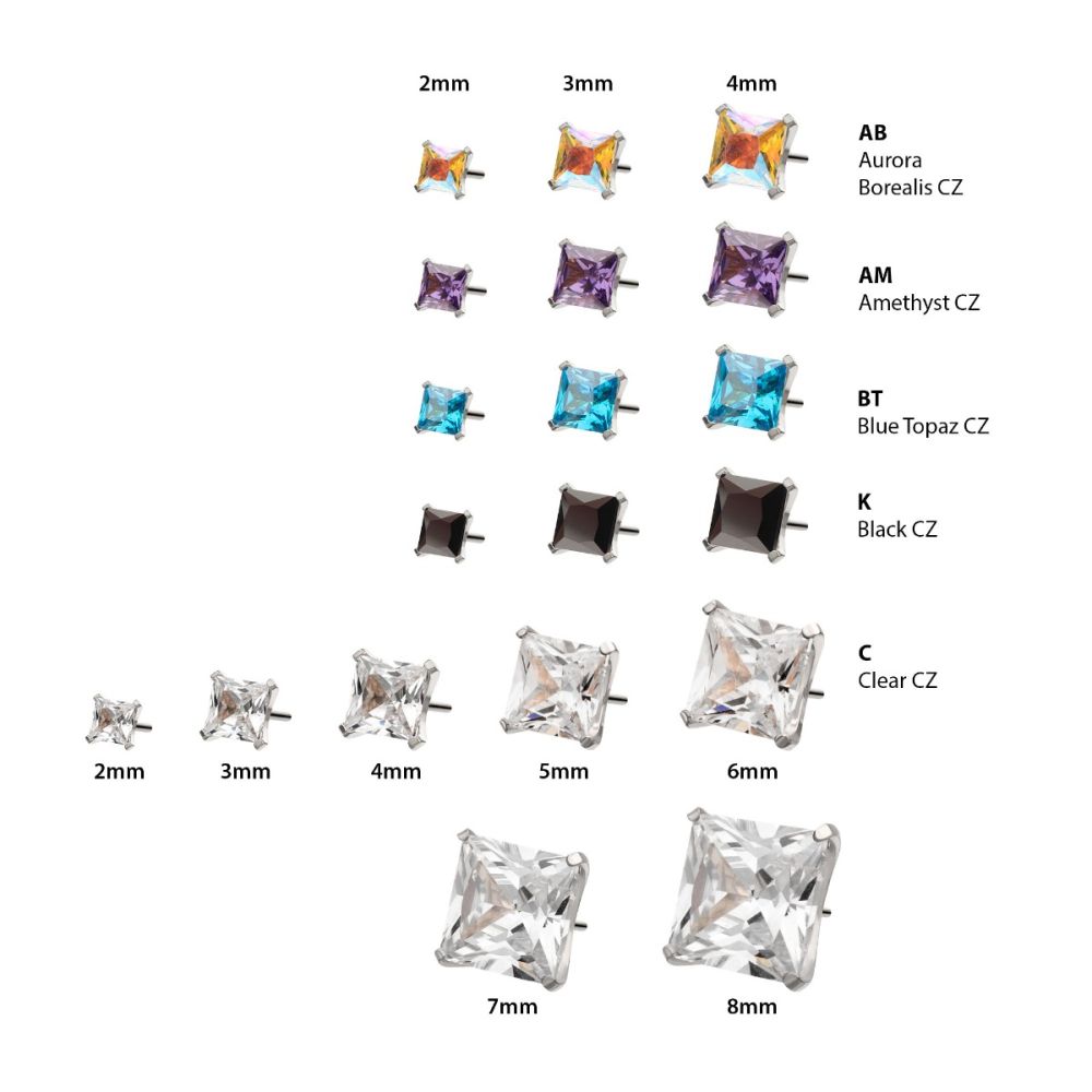 Titanium Threadless 4 Prong Princess Cut Gem Top